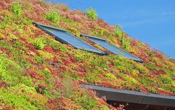 Badgeney living roof systems
