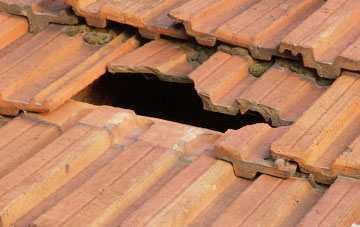 roof repair Badgeney, Cambridgeshire