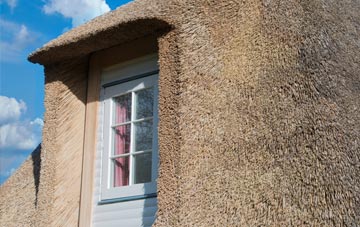 Badgeney thatch roof disadvantages