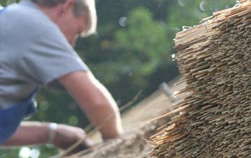 professional Badgeney thatchers