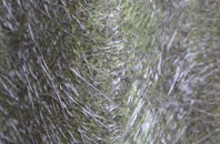 Badgeney fibreglass roof work