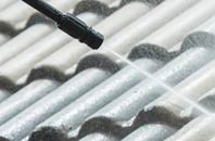 rated Badgeney roof cleaning companies